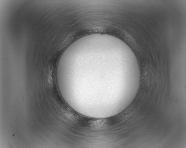 X0000054390122200508191949