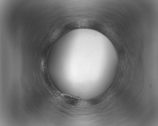 X0000054390123200508191949