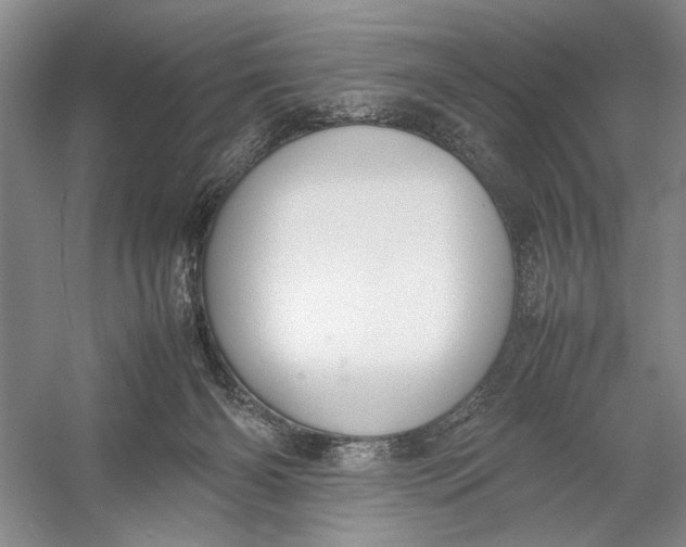 X0000054390126200508191949