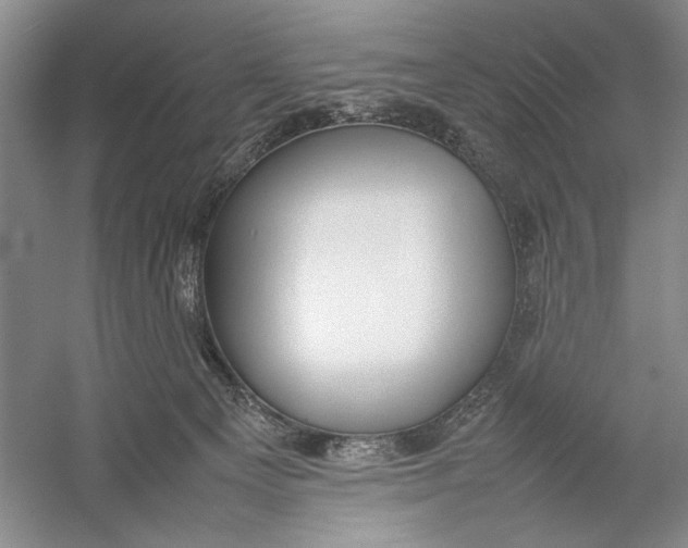 X0000054390129200508191949