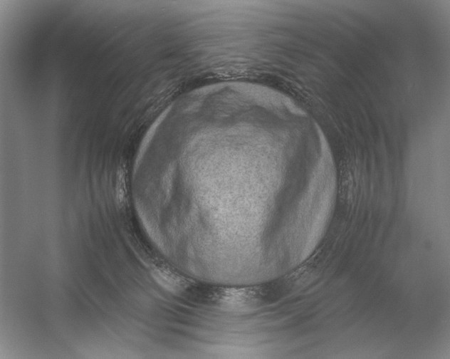 X0000054390130200508191949