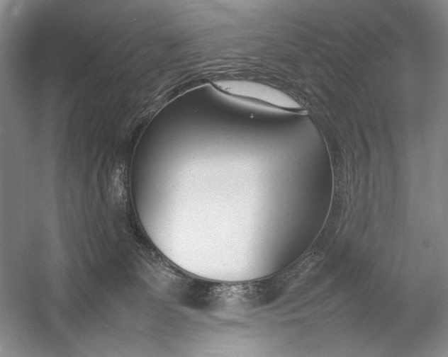 X0000054390131200508191949