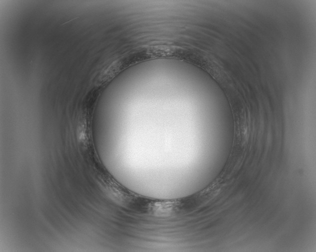 X0000054390134200508191949