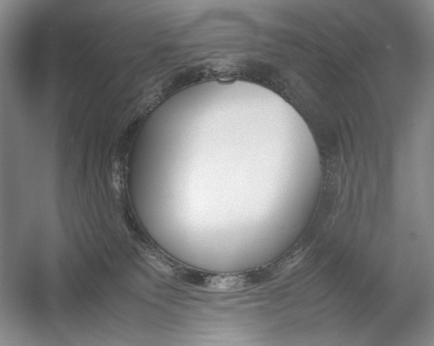 X0000054390135200508191949