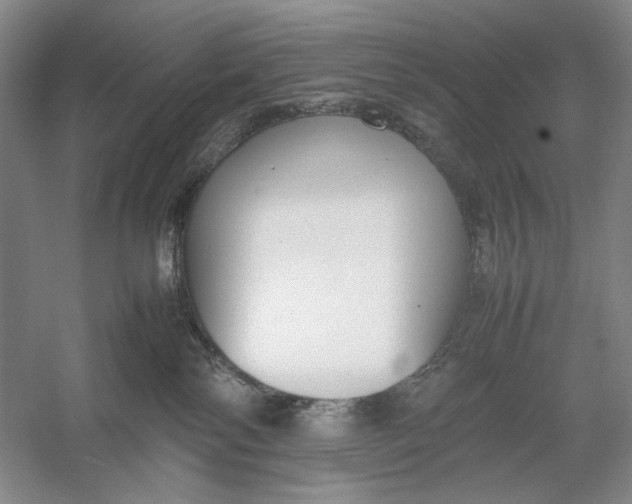 X0000054390138200508191949