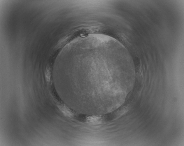 X0000054390139200508191949
