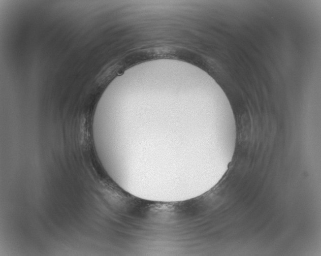 X0000054390140200508191948