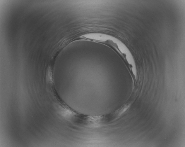 X0000054390143200508191948