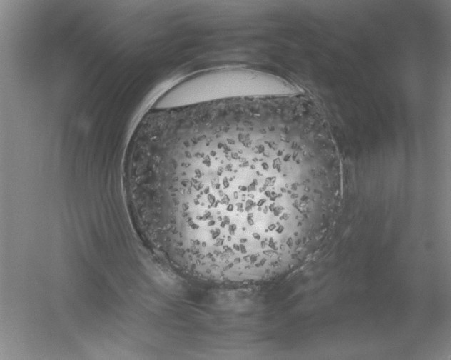 X0000054390147200508191948