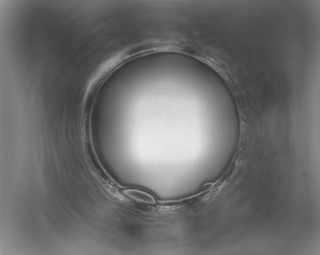 X0000054390149200508191948
