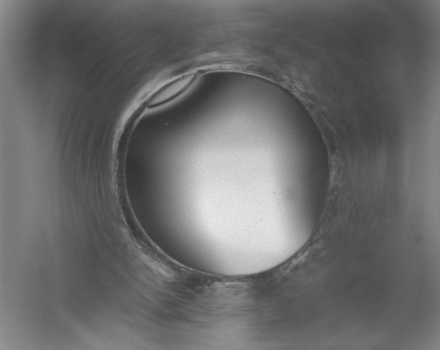 X0000054390150200508191948