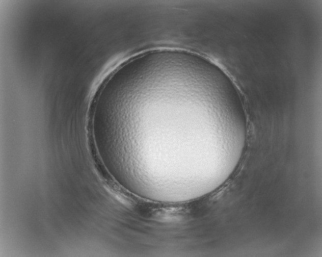 X0000054390151200508191948
