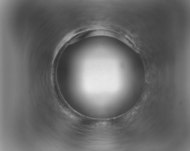 X0000054390152200508191948