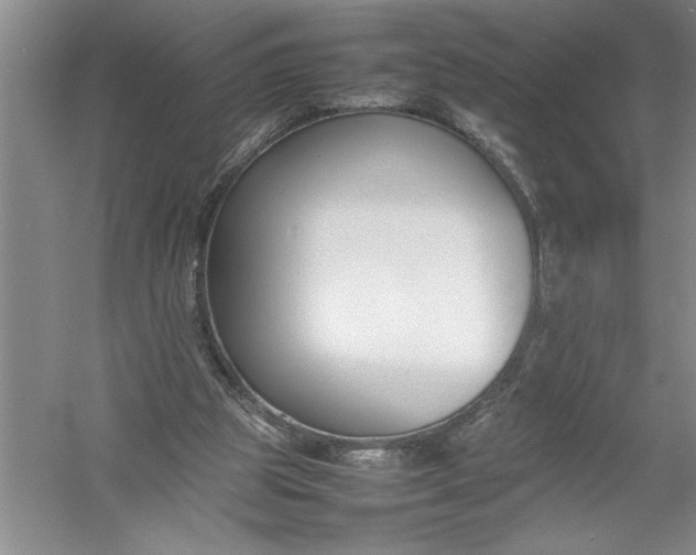 X0000054390153200508191948