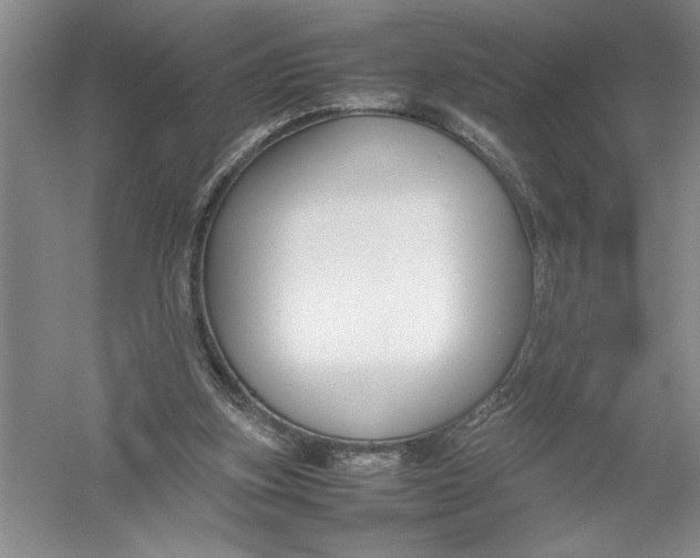 X0000054390155200508191948