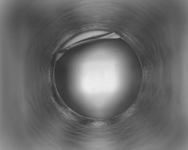 X0000054390158200508191948