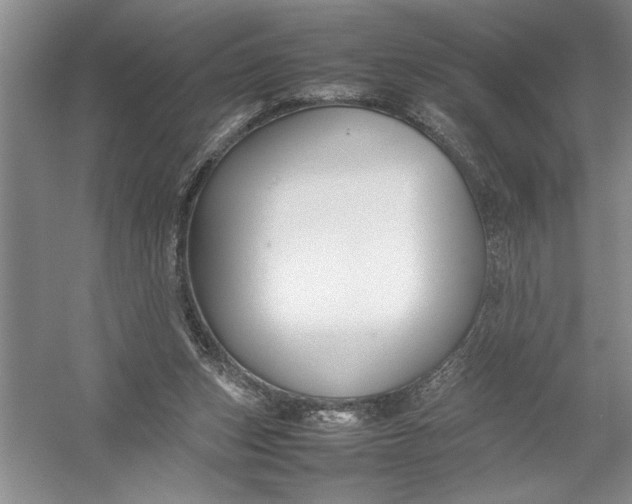 X0000054390159200508191948