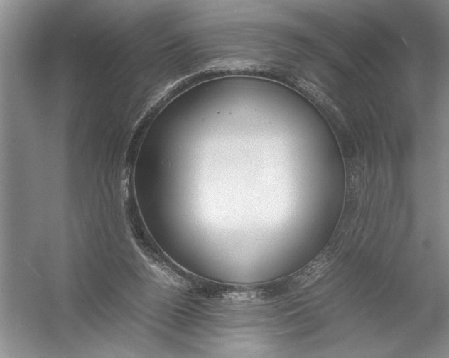 X0000054390160200508191948