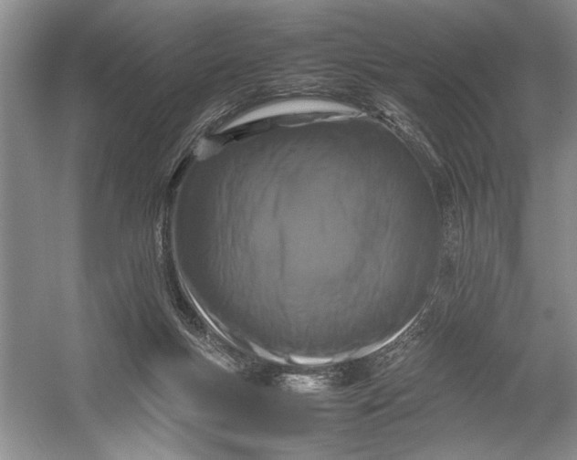 X0000054390167200508191948