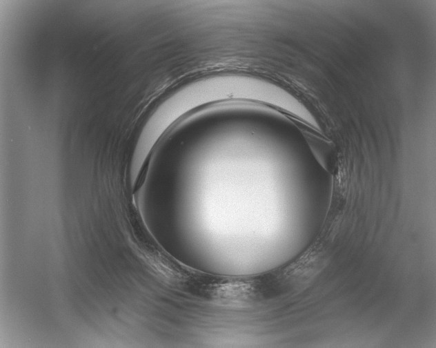 X0000054390168200508191948