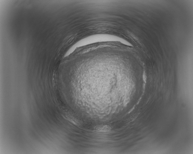 X0000054390169200508191948