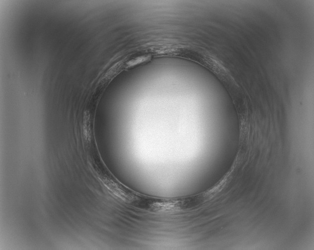 X0000054390170200508191948