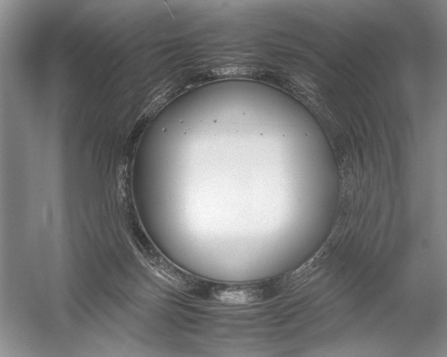 X0000054390171200508191948