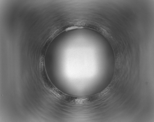 X0000054390172200508191948