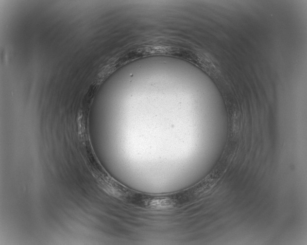 X0000054390173200508191948