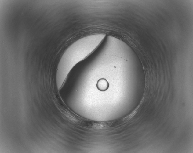 X0000054390174200508191948