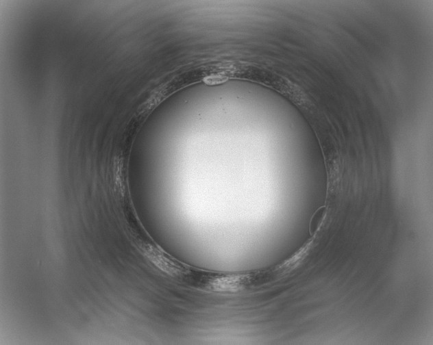 X0000054390178200508191948