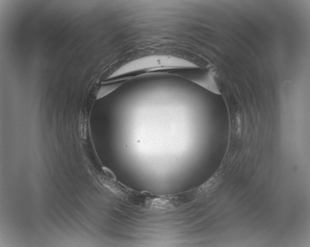 X0000054390180200508191948