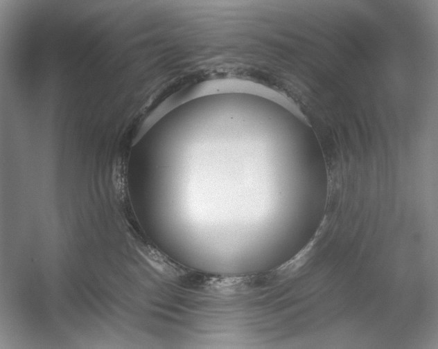 X0000054390186200508191948