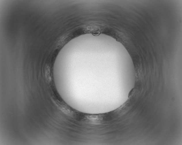 X0000054390187200508191948