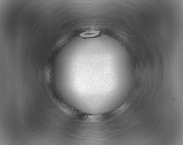 X0000054390188200508191948