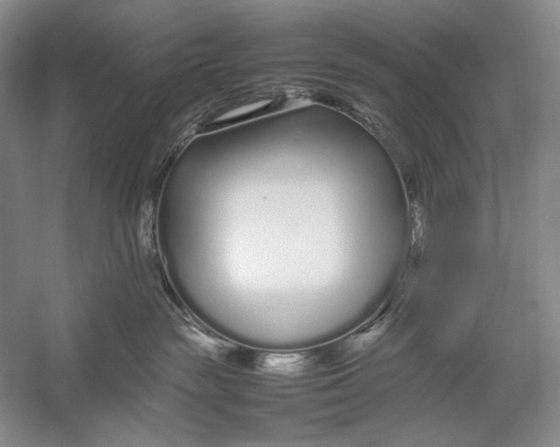 X0000054390189200508191948