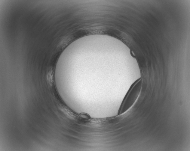 X0000054390190200508191948