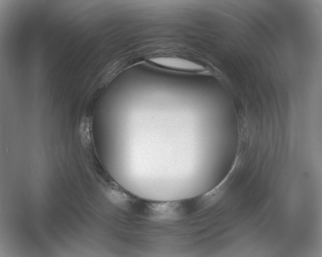X0000054390191200508191948
