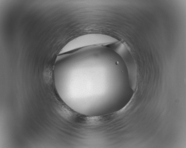 X0000054390192200508191948