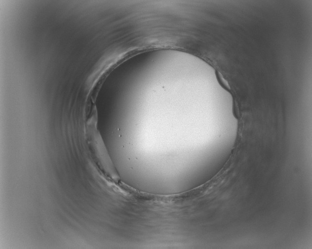 X0000054390194200508191948