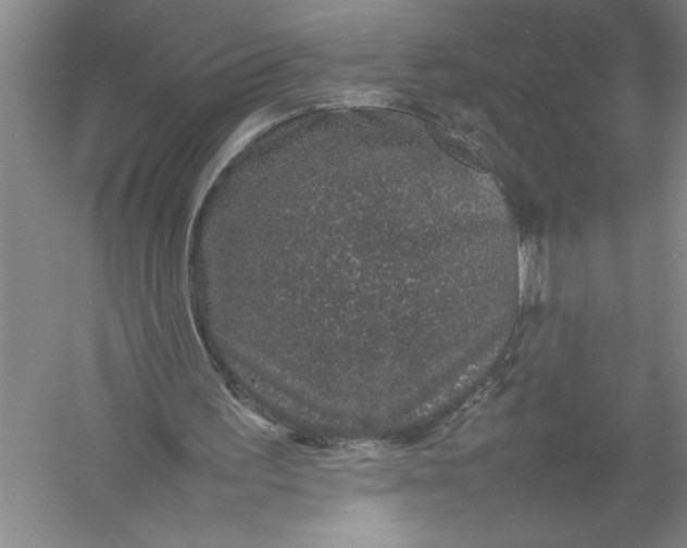 X0000054390195200508191948