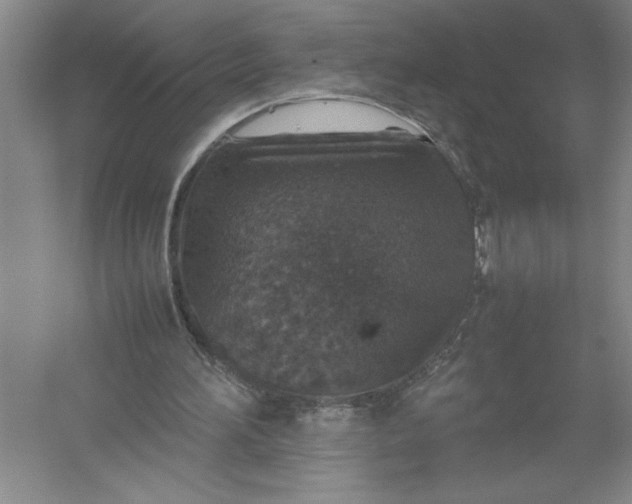 X0000054390196200508191948