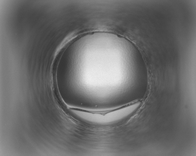 X0000054390198200508191948