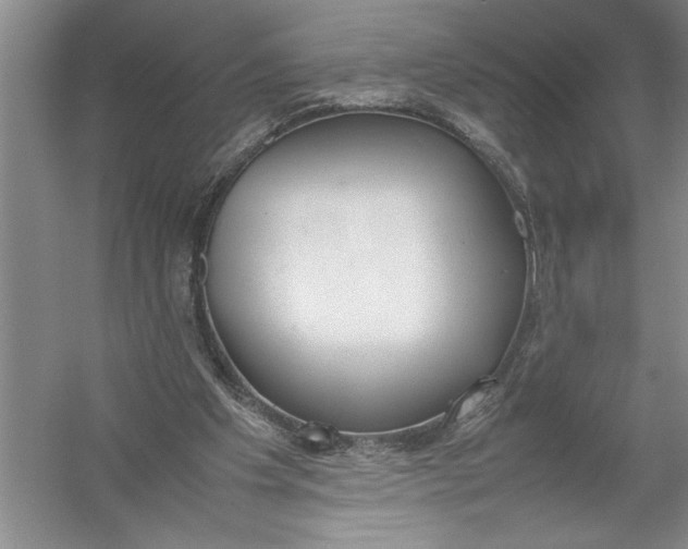 X0000054390201200508191947