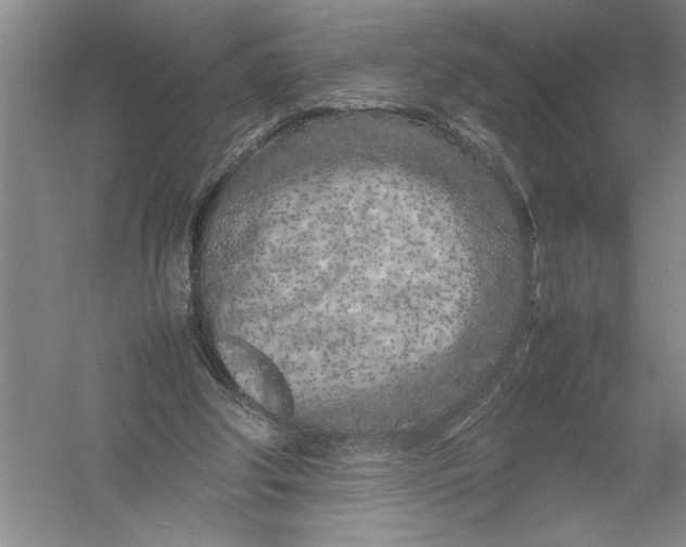 X0000054390202200508191947