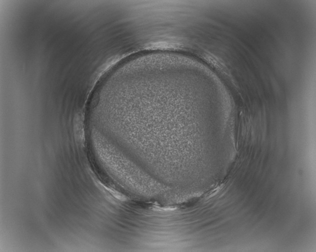X0000054390204200508191947