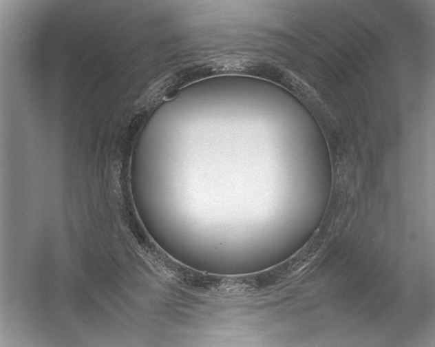 X0000054390209200508191947