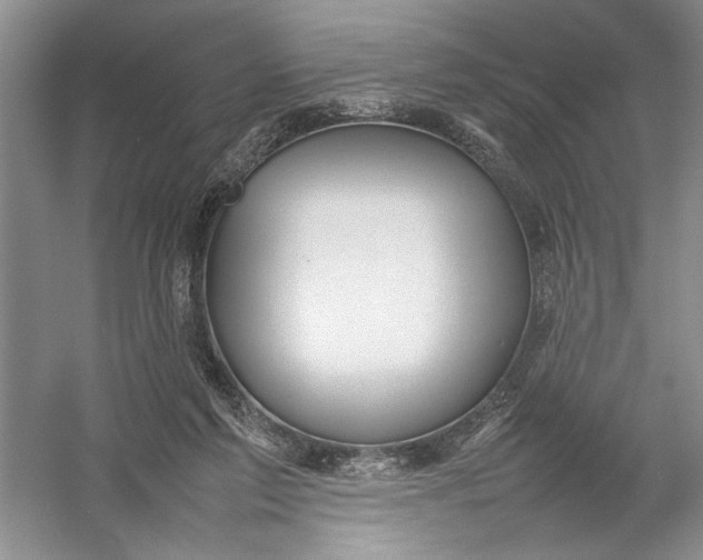 X0000054390213200508191947