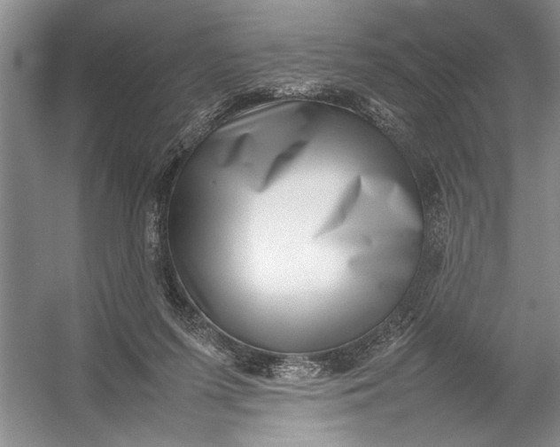 X0000054390215200508191947