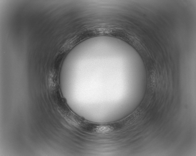 X0000054390218200508191947